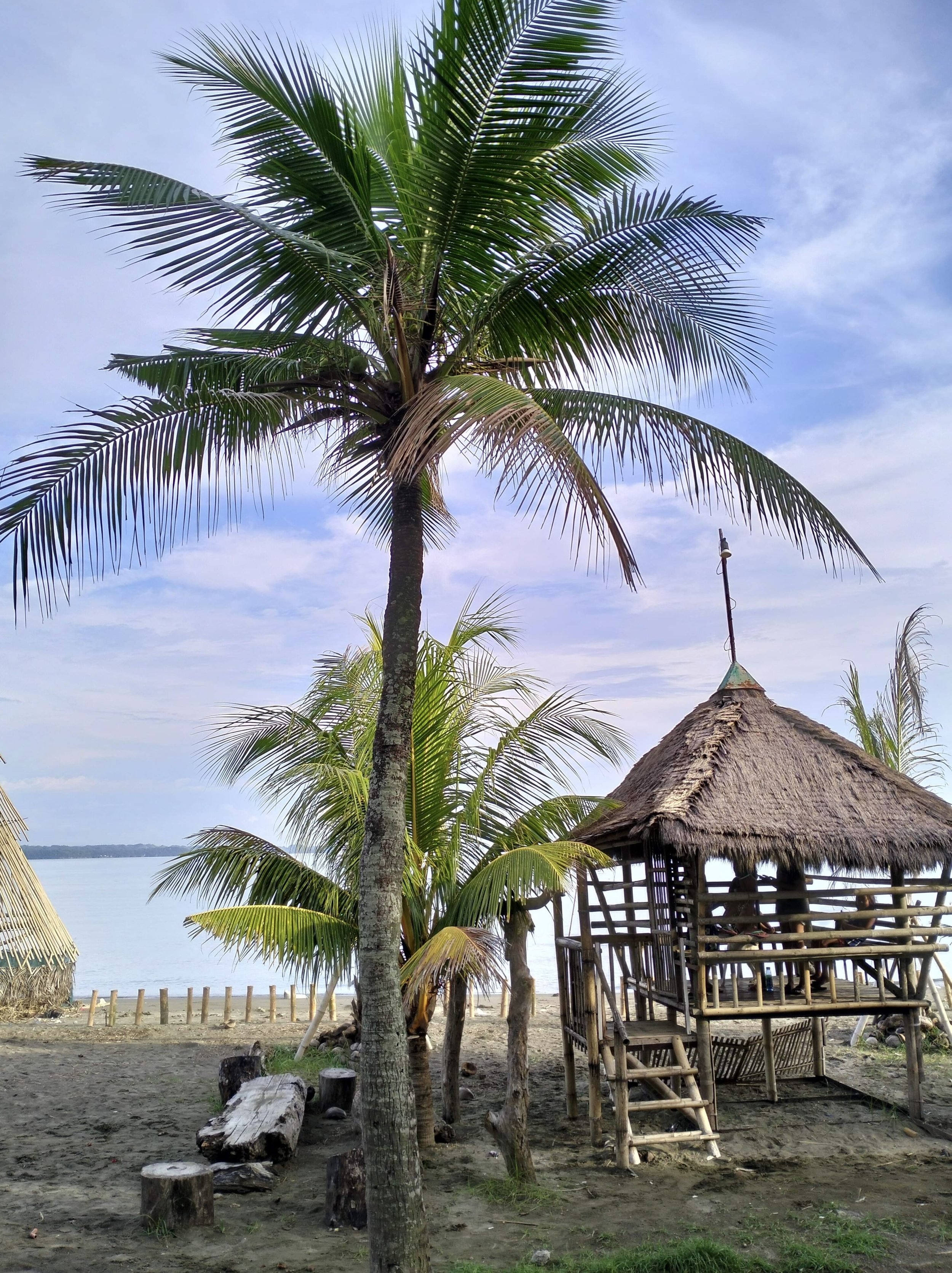 Phillippines. 1013 ministries. tropical island. palm tree