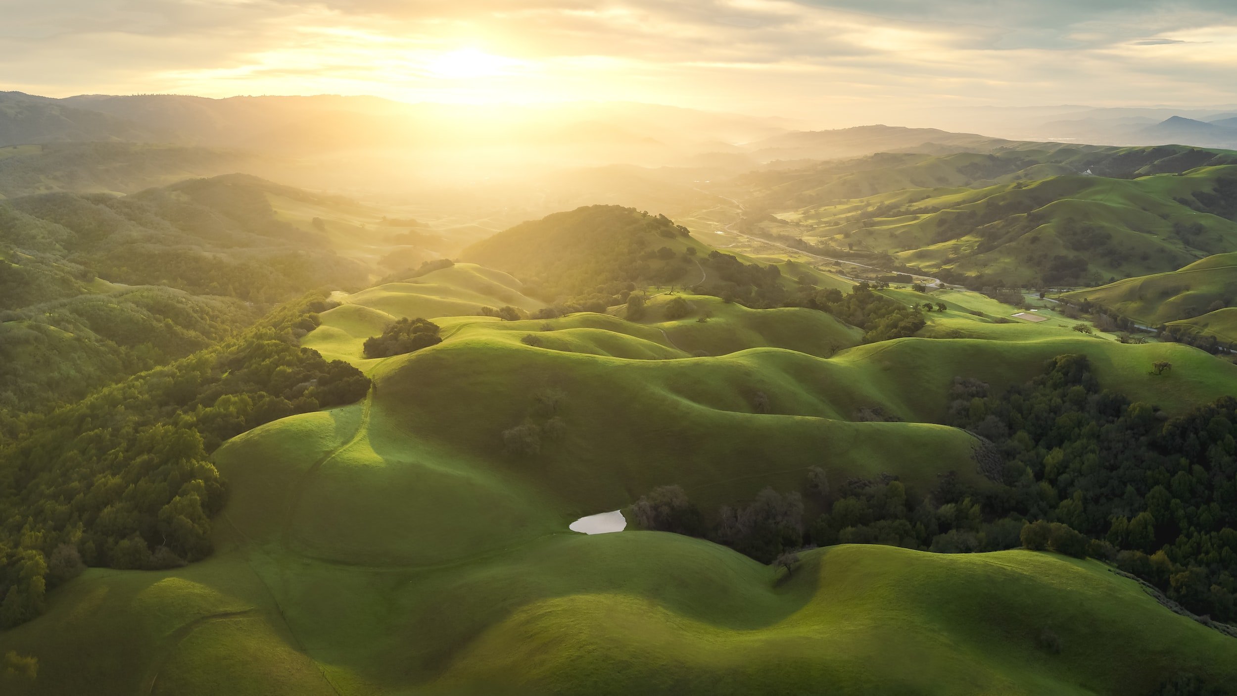 plains of grass and trees while sun is rising